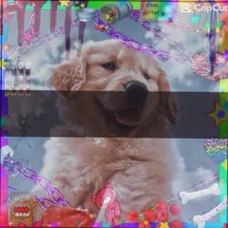g3t c0nn3ct3d 4 fr33