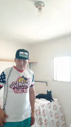 los mandados