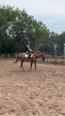PIPER!