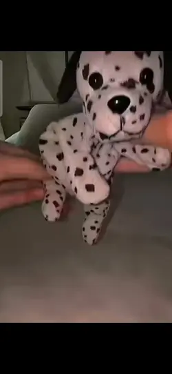 dog edit