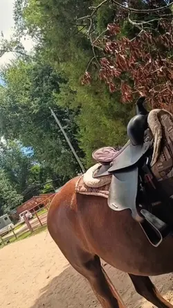 theogcounrtyboy