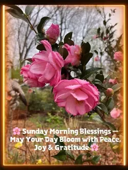 Sunday blessing 