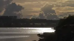 Reflection