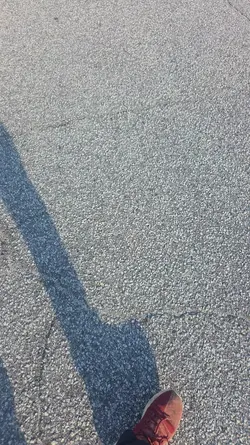 Early morning walk