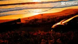 Car edit