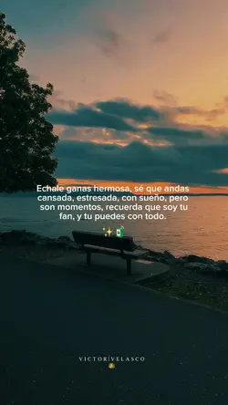 Soy tu fan ✨❤️🩹