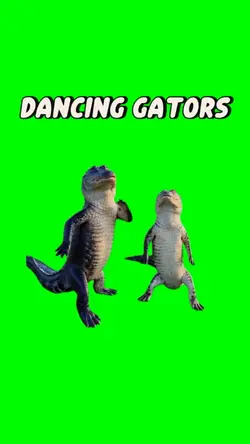 Dancing Gators