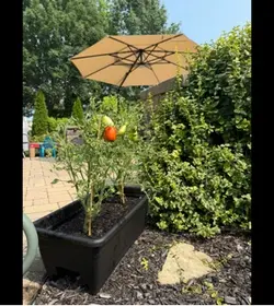 Garden humor 