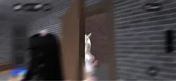 ʟᴀsᴛ sᴜᴍᴍᴇʀ ᴛʀᴇɴᴅ