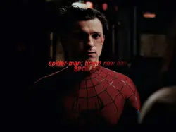 Spider-Man and MJ