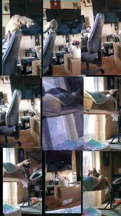 Moving Photos