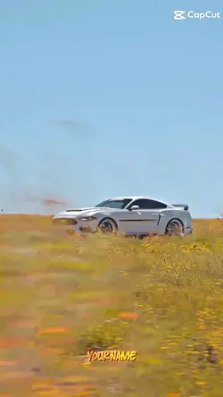 tuff mustang