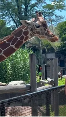 Zoo!!