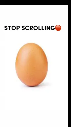 egg