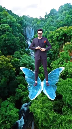 Butterfly Trend