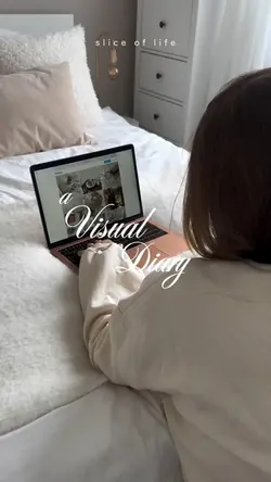 Visual diary