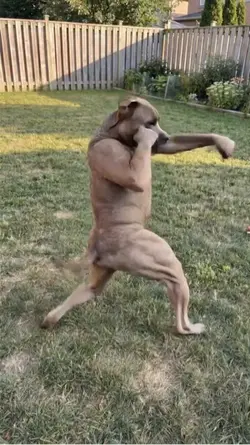 bro