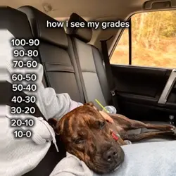 grades