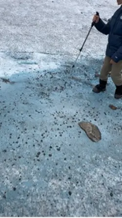 My Alaska vacation