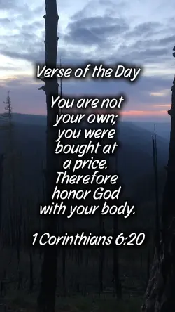 Today’s Verse