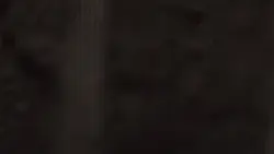 guilt