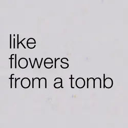 flowers from a tomb🎧