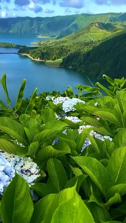 3 videos photos