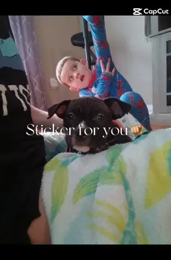 stickers for you