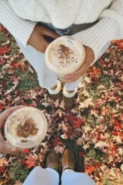 autumn 🍂 