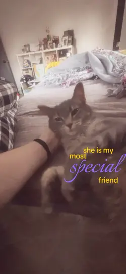 luv my cat