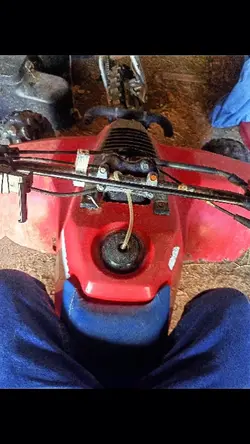 country 