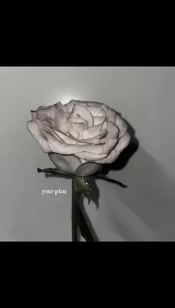 𝐇𝐢𝐬 𝐩𝐥𝐚𝐧.