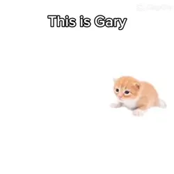 Thank u Gary 😋