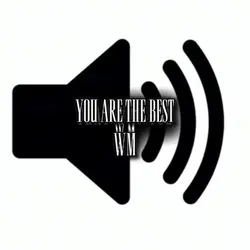Voice Wm 2