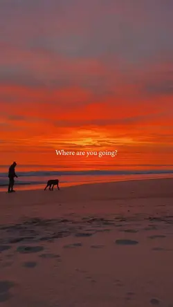 where are you going