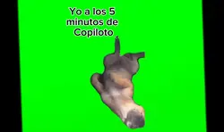 Copiloto