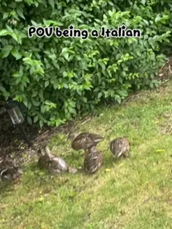 Italian!