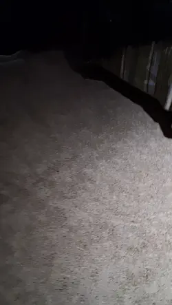 room reveal