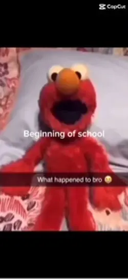 School