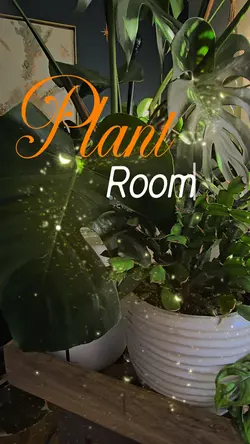 plant room