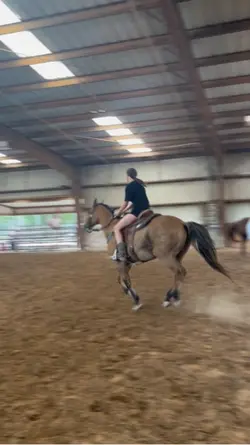  horse slomo