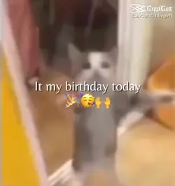 IT'S MY BIRTHDAY