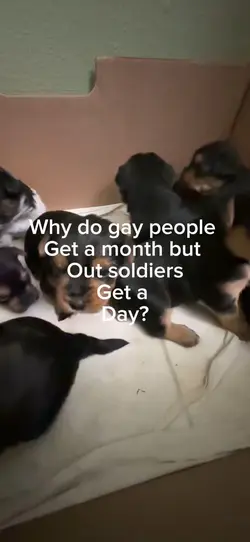 Soldier boy,:(