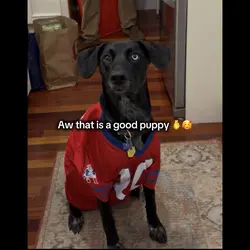 Puppy
