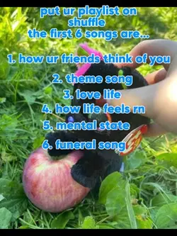 shuffle playlist