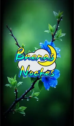 Buenas noches