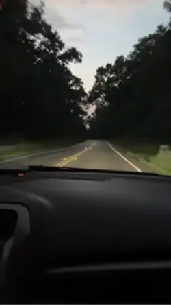 Driving home 