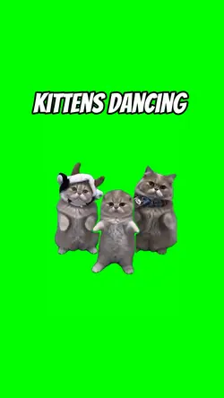 Kittens dancing 