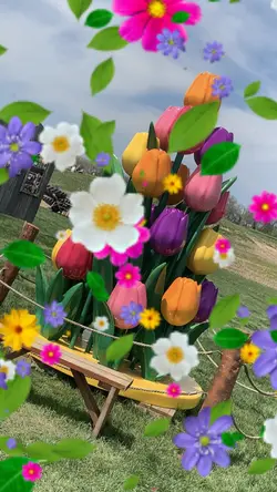 In bloom