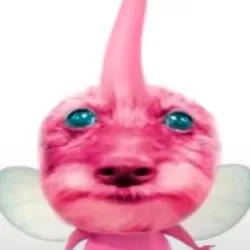 Noceqponer